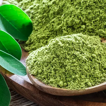 Moringa leaf powder in a wooden spoon beside fresh moringa leaves