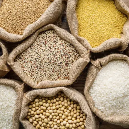 Rice, millets, quinoa, soybeans and black seeds in jute sacks