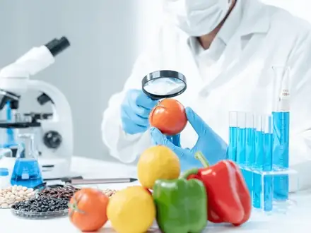 Scientist inspecting a tomato with a magnifying glass beside laboratory glassware for food quality and residue testing
